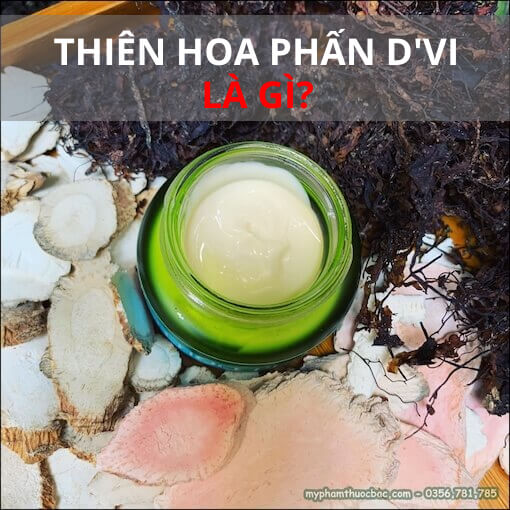 Thiên hoa phấn D'Vi là gì?
